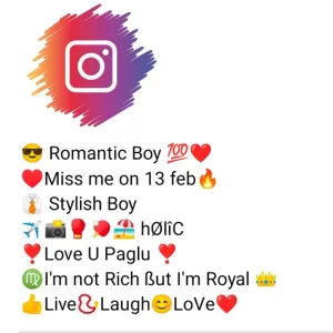 unique instagram bio for boys